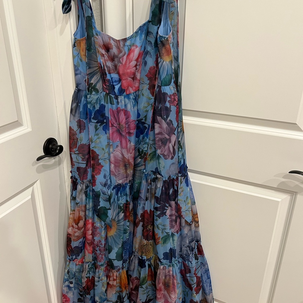 Francesca's Audrey Parks Blue Floral Tiered Sundress